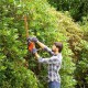 Кусторез Black+Decker 450 Вт полотно 50 cм шаг зуба 18 мм BEHT251-QS