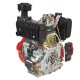 Двигатель дизельный Vitals DM 14.0kne