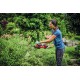 Кусторез аккумуляторный Einhell  GC-CH 18/40 Li - Solo, 18 В, без АКБ и ЗУ, шина 475 мм, макс. диаметр 13 мм