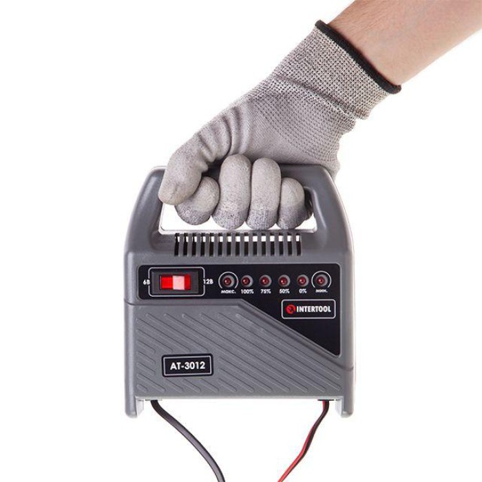 Автомобільний зарядний пристрій для АКБ INTERTOOL AT-3012