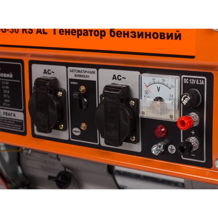 Генератор бензиновий Tekhmann TGG-30 RS AL