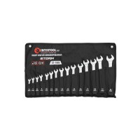 Набір ключів комбінованих INTERTOOL XT-1005, 15шт. 6-19,22 мм; PROF, DIN3113, STORM