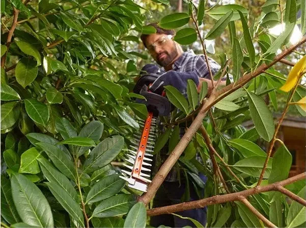 Кущоріз Black+Decker 500 Вт полотно 55 см крок зуба 22 мм  BEHTS401-QS